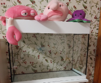 ��������� �������