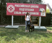 ������-����������: ���� ���������