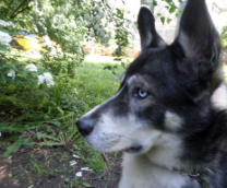 ����� - ���� ������ �� ������ ϸ�. 