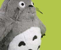 ������� ������������