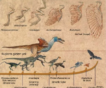 � ������ ������