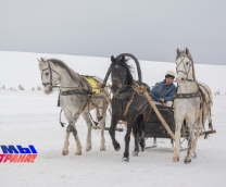 ������� ���������� �������