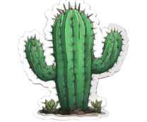 ��� ����� ����..