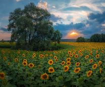 �������� ���������