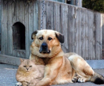 ���� � ������ ����