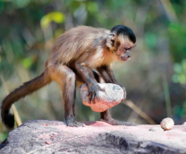 ������������.