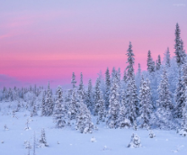 ����� � ���� ���������