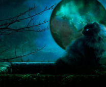 �������