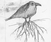 ��� ��������