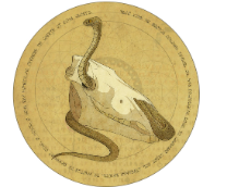 �� ������� ������ � ��������