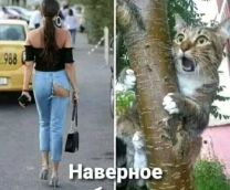 �������� ������� ������ �������