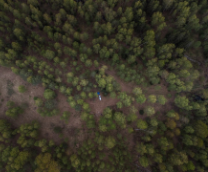 ���� � ����� ��������� ���������� � ������...