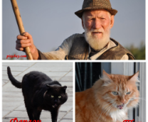 ������� � ����