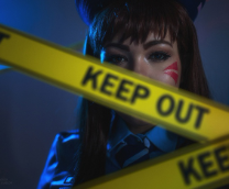 �������: Overwatch / ������������ ����.