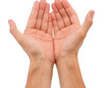 ����������(���)