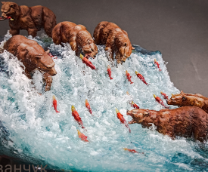 ������� ������� ��������� .