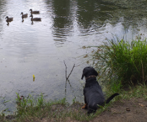 ��������� ���� � ������!