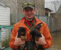 ������� �������� 2024