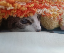 �����-�����