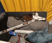 ������ � ������� � ����� ���