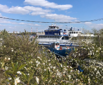 ��� ������� ���������