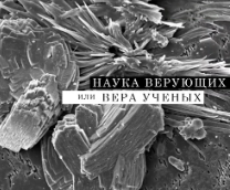 ����� �������� ��� ���� ������: ��� XX