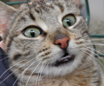 ����� � ������ ��������