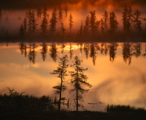 ����������� � �������