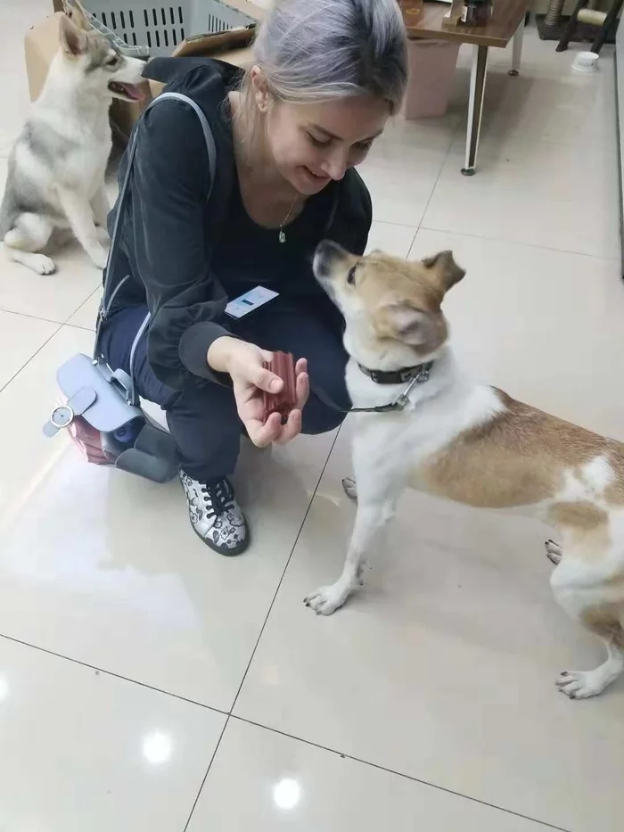 Неделя в китайской тюрьме - продолжение Китай, Тюрьма, Тюремные истории, Длиннопост, Мат Неделя в китайской тюрьме - продолжение Китай, Тюрьма, Тюремные истории, Длиннопост, Мат