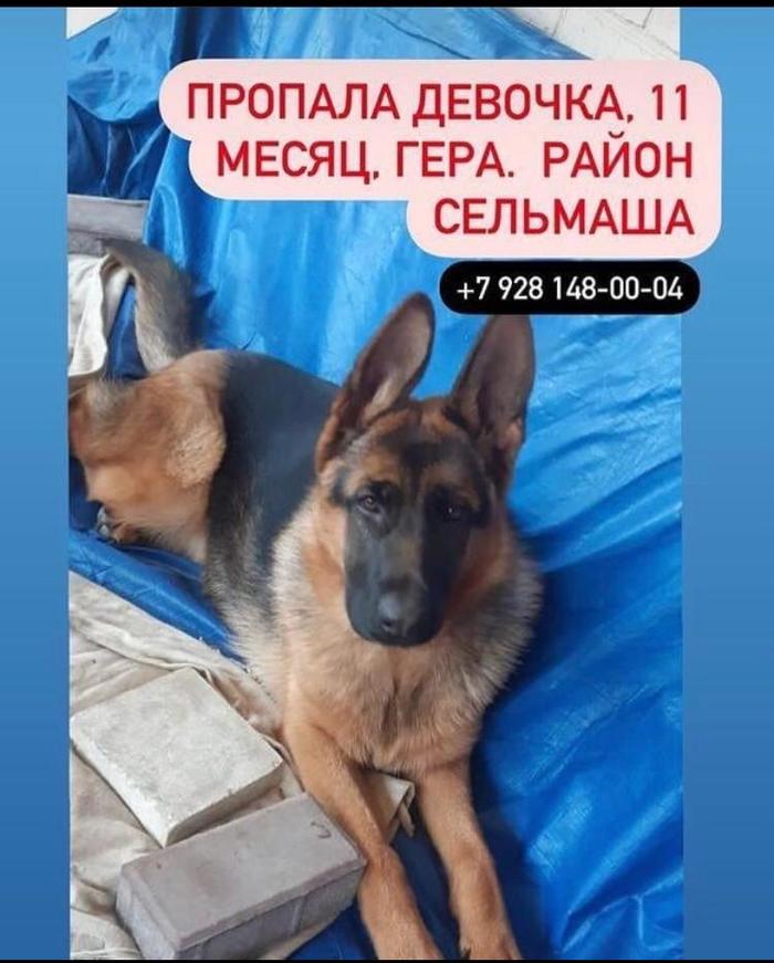 �������� ����� ������