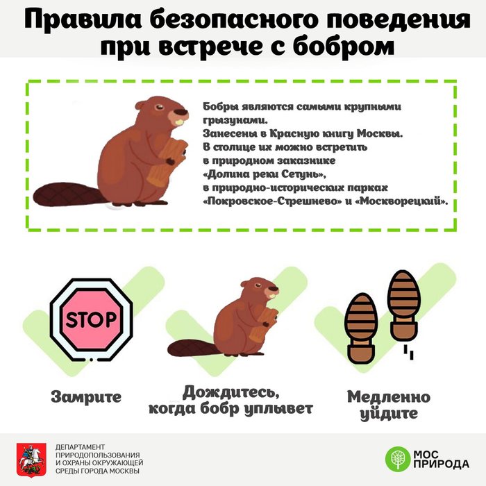 Как сделать журнал про пони. Смотреть фото Как сделать журнал про пони. Смотреть картинку Как сделать журнал про пони. Картинка про Как сделать журнал про пони. Фото Как сделать журнал про пони