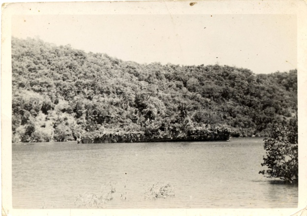 Кораблик, который смог Cat_cat, История, Корабль, Остров, Маскировка, Война, Вторая мировая война, Длиннопост Кораблик, который смог Cat_cat, История, Корабль, Остров, Маскировка, Война, Вторая мировая война, Длиннопост