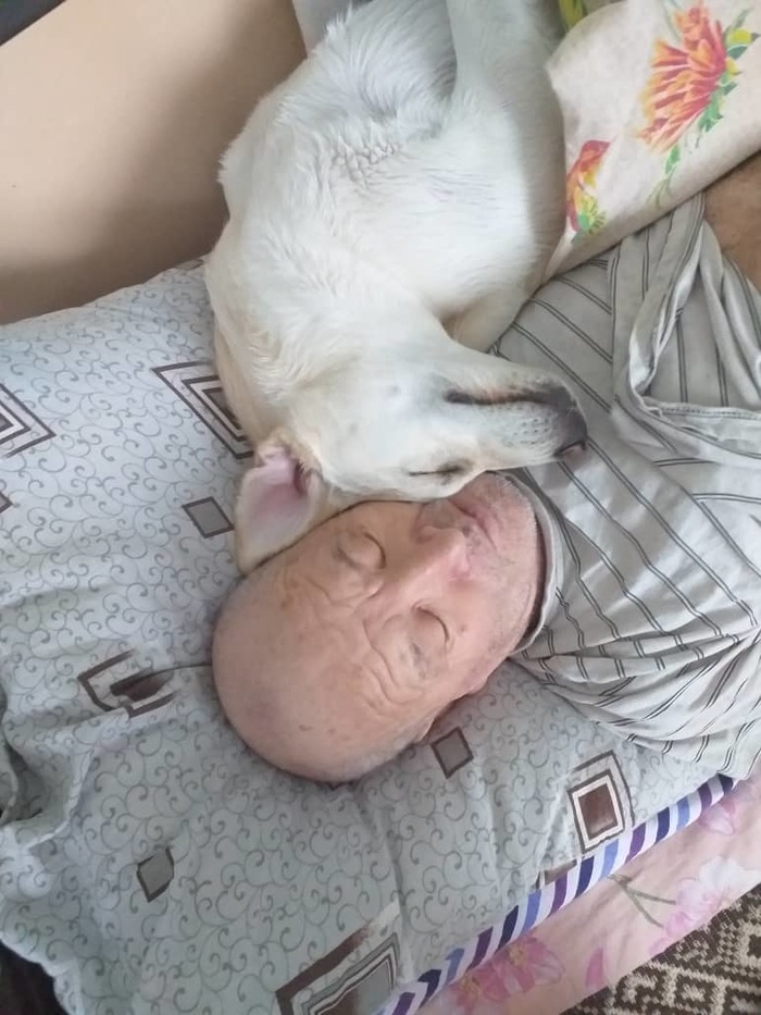 ��� ���� ����