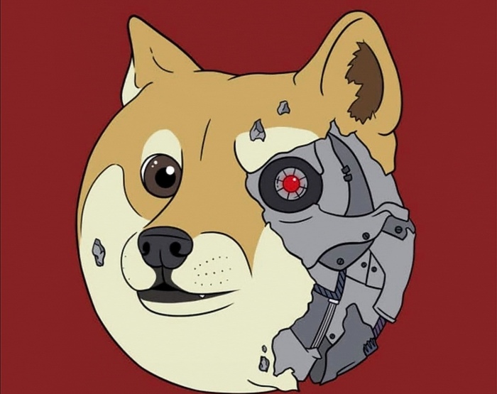 From DOGE to Siacoin. The next big thing