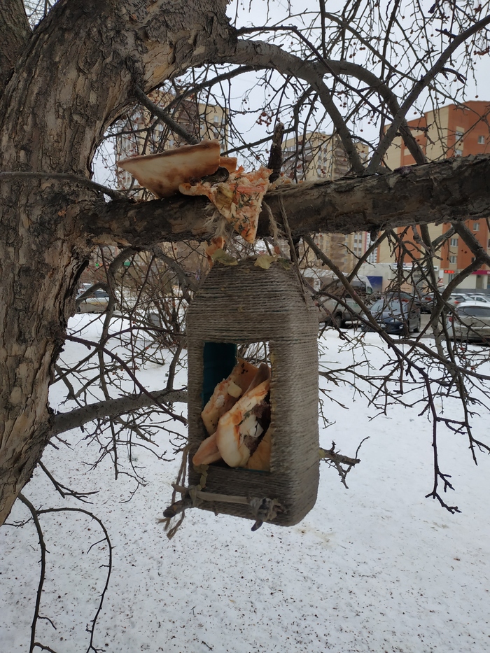 �����-������� �� ������