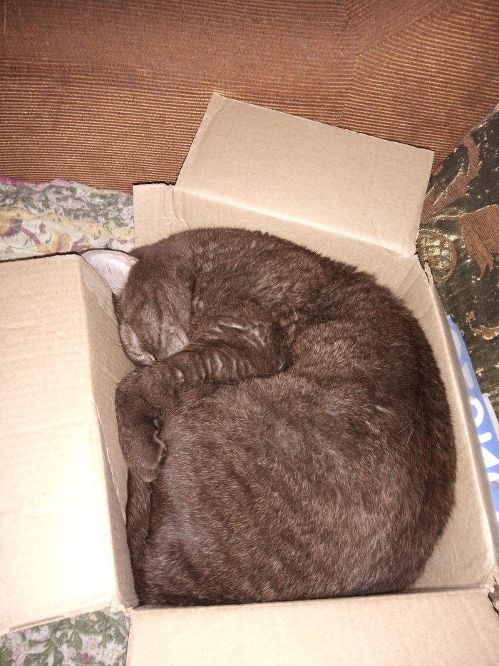 Уместился...