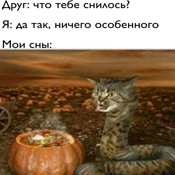 Что тебе снится?