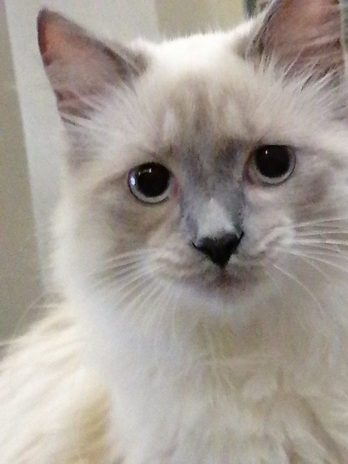 Физик ты тут?