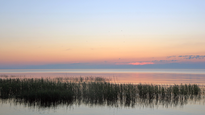     , , , Canon EOS 550d, 