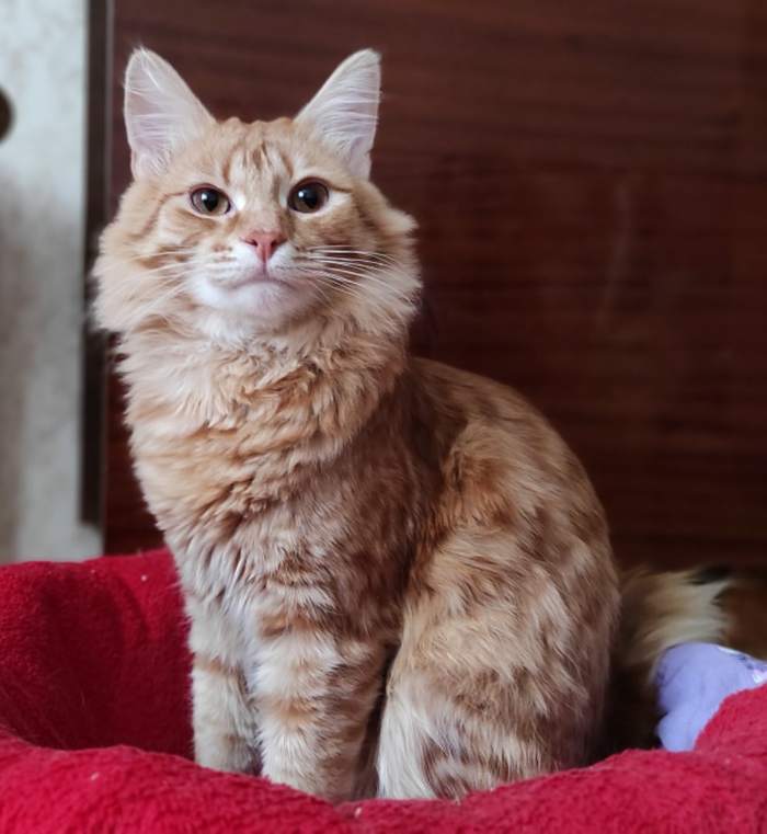 �������