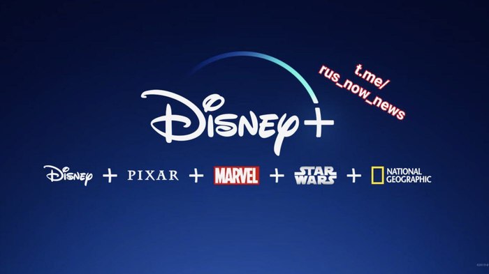 Disney+      - - Walt Disney Company, , , , -,    ,  , , Marvel, Star Wars