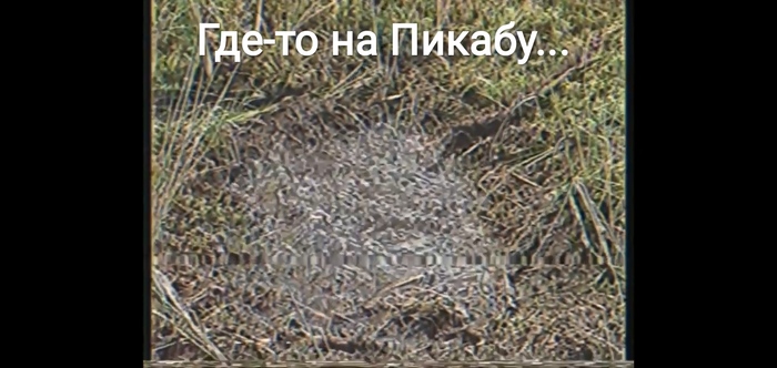    ,  , , , , , , , 