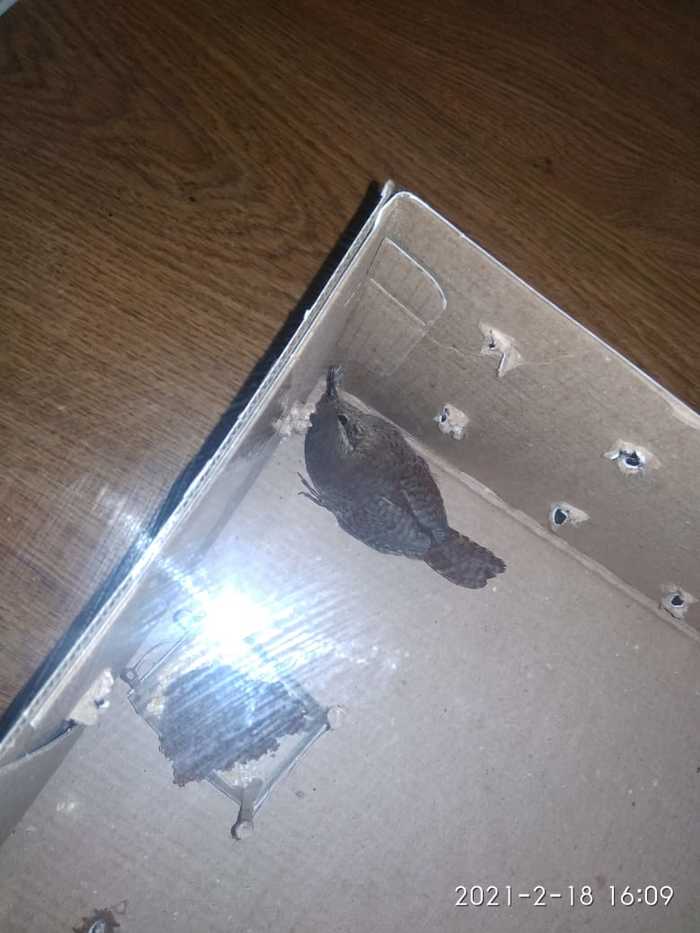 ��� �� ������?