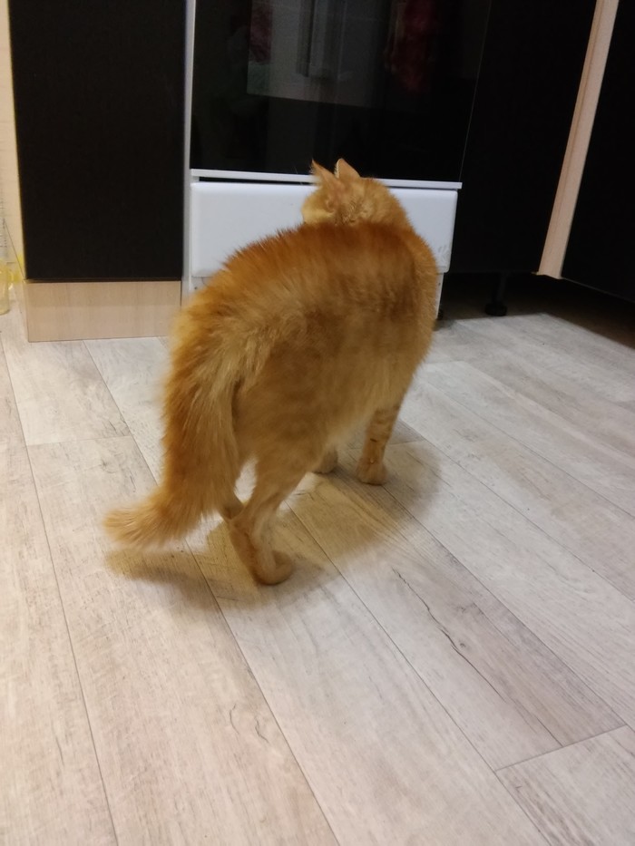 ������ ����� ����� �����...