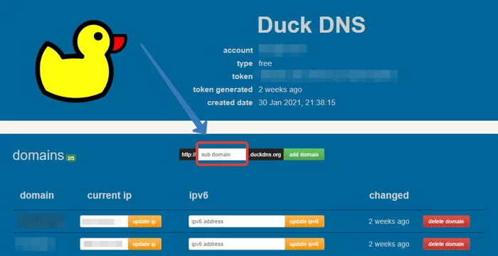 Duck DNS в Docker