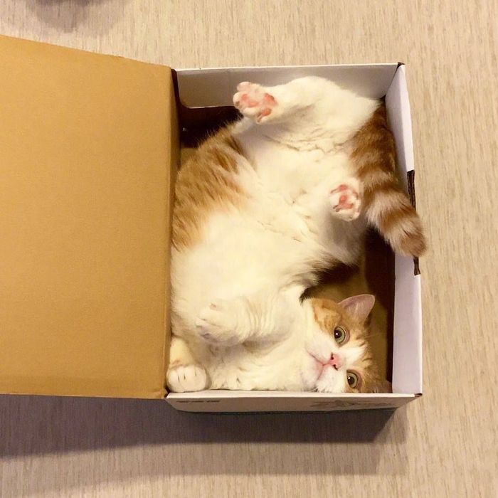  , ,  , , , , , 