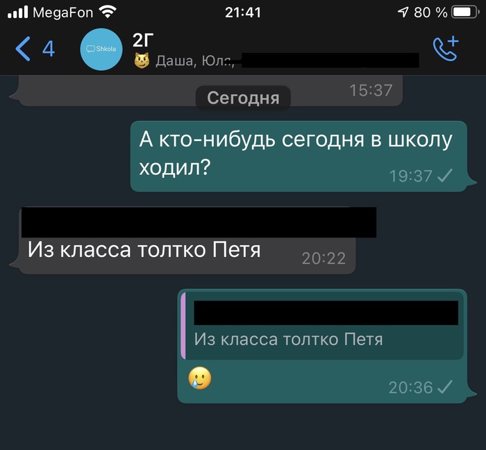 Индивидуальное обучение в государственной школе