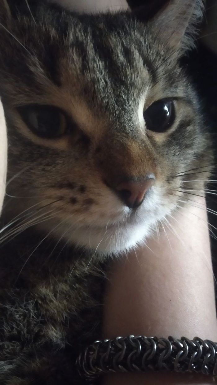 Мой лохматый жоп