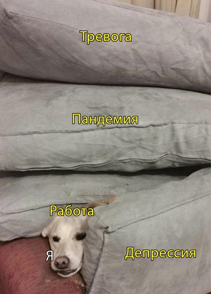 ��������� �� ����������