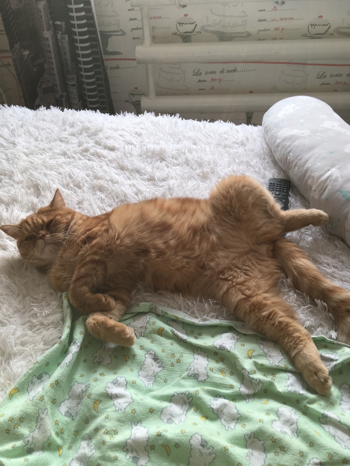 ����� ��� �������� ������...